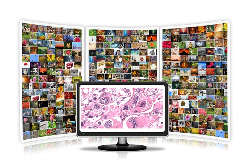 6 Free Open Source Software Programs For Image Analysis Of